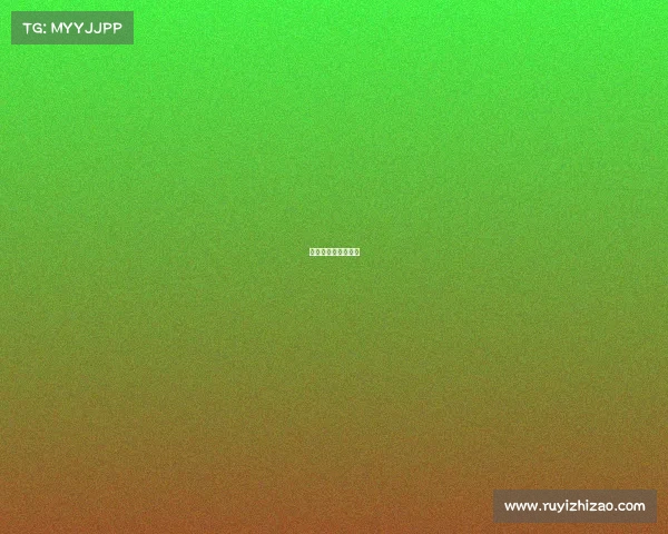 武林风澳门直播视频